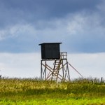 Reforma łowiectwa trafi do Sejmu. Zebrano 2 razy więcej podpisów niż trzeba