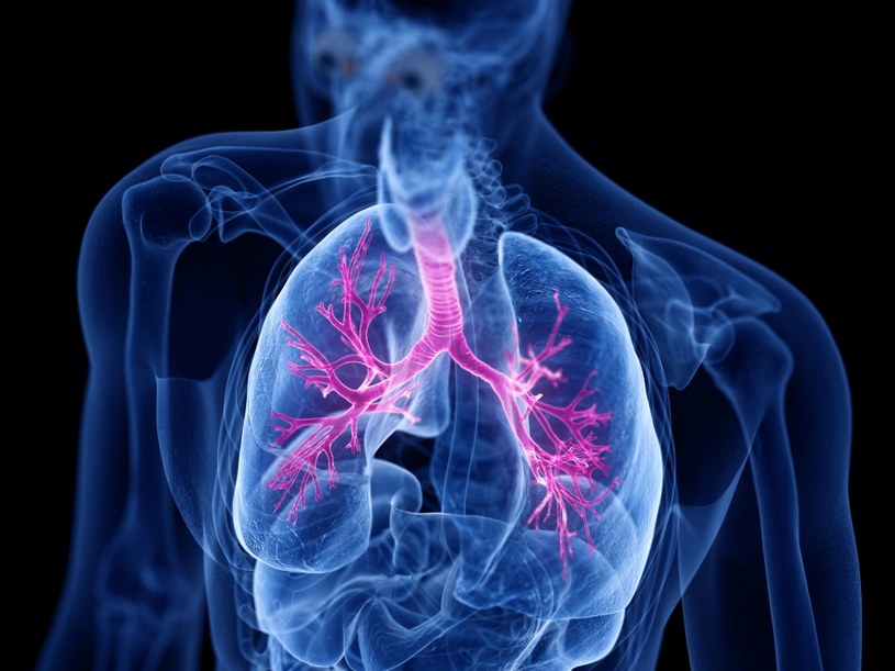 Refundowane leki rozrzedzają wydzielinę w oskrzelach ułatwiając pacjentowi oddychanie i poprawiając czynność płuc /123RF/PICSEL
