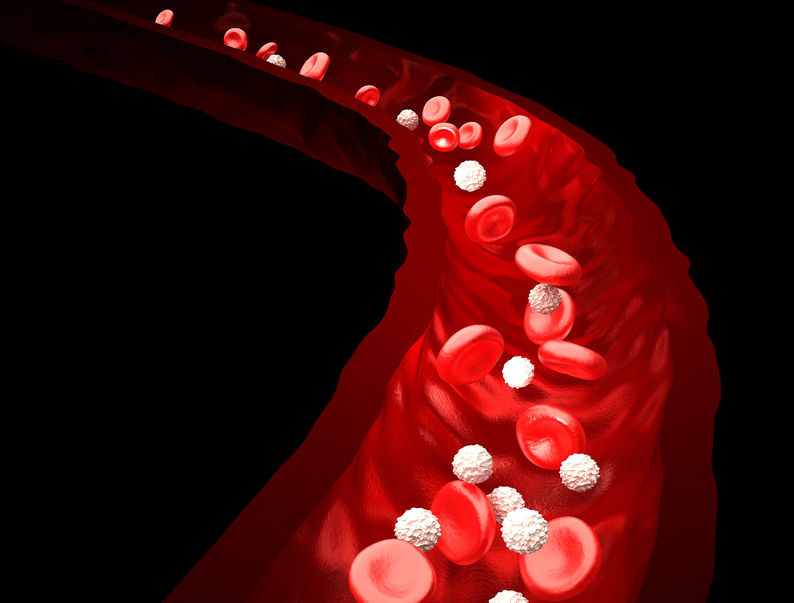 Regeneracja naczyń krwionośnych coraz bliżej /123RF/PICSEL