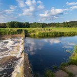 Regulacja rzek - plaga, która niszczy polskie wody