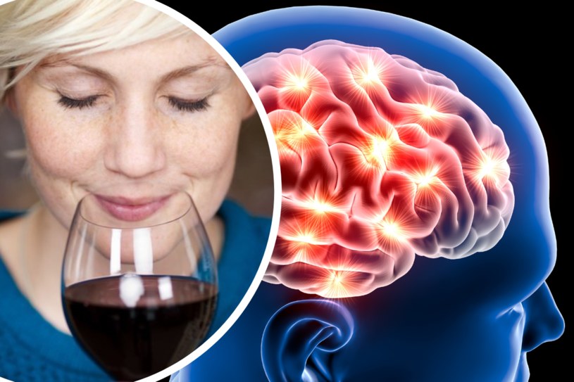 Regularne spożywanie alkoholu powoduje zmniejszenie mózgu, a także ubytki w istocie białej oraz szarej /123RF/PICSEL