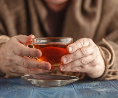 Reguluje cukier i kwas moczowy, przegania bakterie i grzyby. Jak działa podagrycznik?