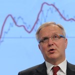 Rehn: W styczniu ocena planów budżetu w pięciu krajach, w tym Polsce