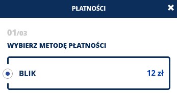 rejestracja nicka - metody płatności /Klaudia Sternal /INTERIA.PL