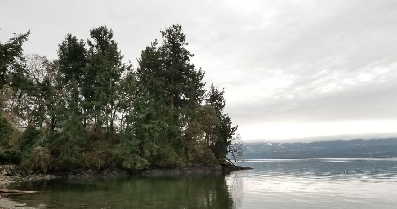 Rejon Fairy Creek to statni niechroniony obszar części Vancouver Island, gdzie rośnie starodrzew /AFP