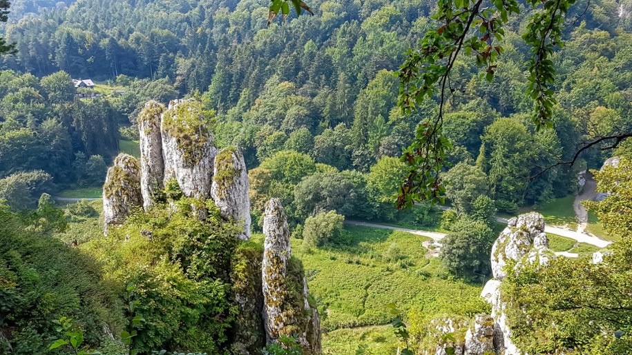 Rękawica, zwana też Pięciopalcówką lub Białą Ręką - jedna z formacji skalnych w Ojcowskim Parku Narodowym /Shutterstock