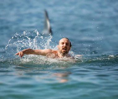 Rekin Eminem w nowym filmie Patryka Vegi