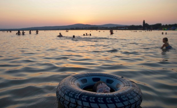 Rekiny sieją panikę. Ludzie boją się kąpać