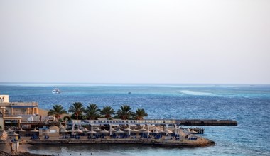 Rekiny znów pojawiły się przy plażach w Egipcie. W tych kurortach lepiej uważać 