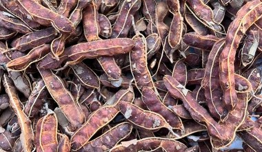 Рекомендовано людям похилого віку - бо піклується про суглоби, очі й тиск. Можна їсти як суху закуску або пасту