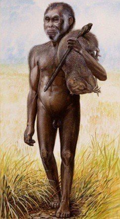 Rekonstrukcja wyglądu Homo floresiensis wykonana przez naukowców /MWMedia