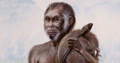 Rekonstrukcja wyglądu Homo floresiensis wykonana przez naukowców /MWMedia