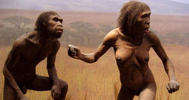 Rekonstrukcja wyglądu Homo habilis, od którego H. floresiensis się wywodzą /MWMedia