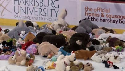 Rekord pobity! Na lodowisku wylądowało 45 tys. pluszowych misiów
