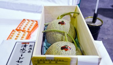 Rekordowa cena za melon Yubari