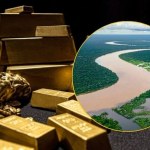 Rekordowa konfiskata złota. Gdzie miał trafić cenny kruszec?