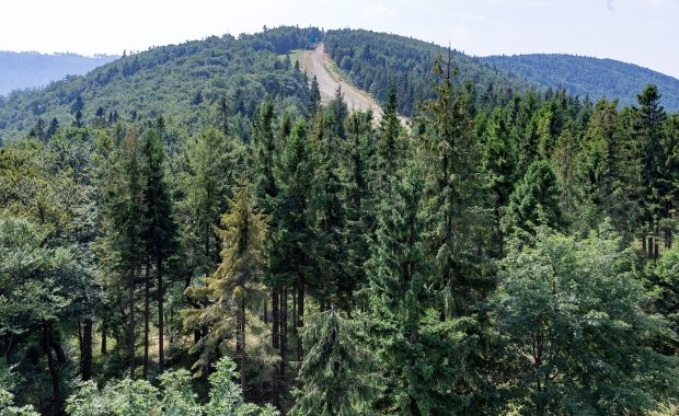 Rekordowa liczba interwencji GOPR-u w te wakacje w Beskidach