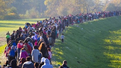 Rekordowa liczba migrantów w UE. W Niemczech to już ponad 1/5 populacji