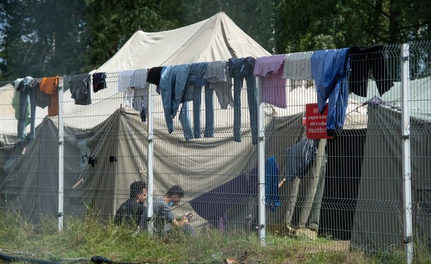 Rekordowa liczba nielegalnych imigrantów na granicy Polski z Białorusią. "Straż Graniczną wspierają żołnierze WP"