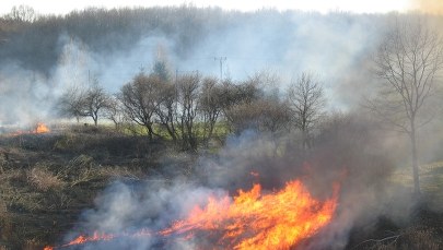 Rekordowa liczba pożarów traw na Mazowszu