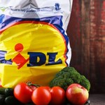 Rekordowa sprzedaż polskich produktów za granicą. Lidl pokazał wyniki