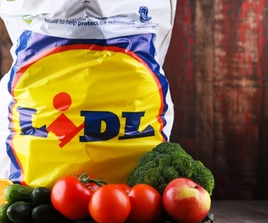 Rekordowa sprzedaż polskich produktów za granicą. Lidl pokazał wyniki