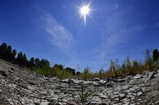 Rekordowa susza. Rzeka odsłoniła niewybuchy