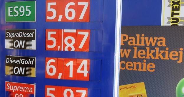 Rekordowe ceny oleju napędowego wynikają z podwyżki akcyzy, fot. Jan Bielecki /Agencja SE/East News
