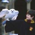 Rekordowe dochody "Harry'ego Pottera"
