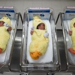Rekordowo niska liczba urodzeń w kraju Kwitnącej Wiśni