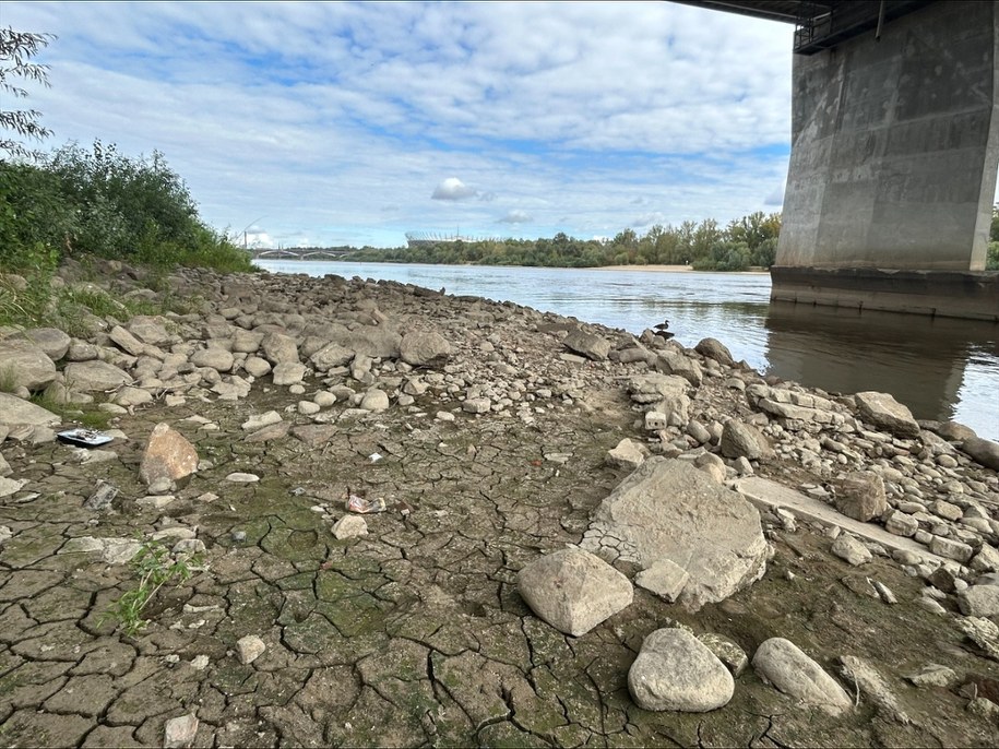 Rekordowo niski poziom w Wiśle /Michał Krasoń /RMF FM