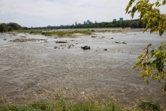 Rekordowo niski poziom Wisły w Warszawie. Galeria