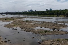 Rekordowo niski poziom Wisły w Warszawie. Galeria