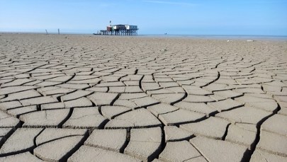 Rekordowo niski poziom wody w Morzu Kaspijskim. Co jest tego powodem?