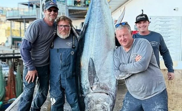 Rekordowy połów! 210-kilogramowy tuńczyk błękitnopłetwy sprzedany za 2 tysiące funtów