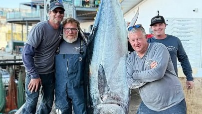 Rekordowy połów! 210-kilogramowy tuńczyk błękitnopłetwy sprzedany za 2 tysiące funtów