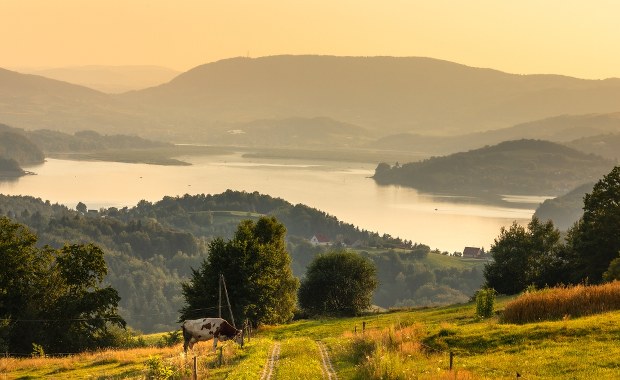 Rekultywacja Jeziora Rożnowskiego. Tak można pozyskać pieniądze 