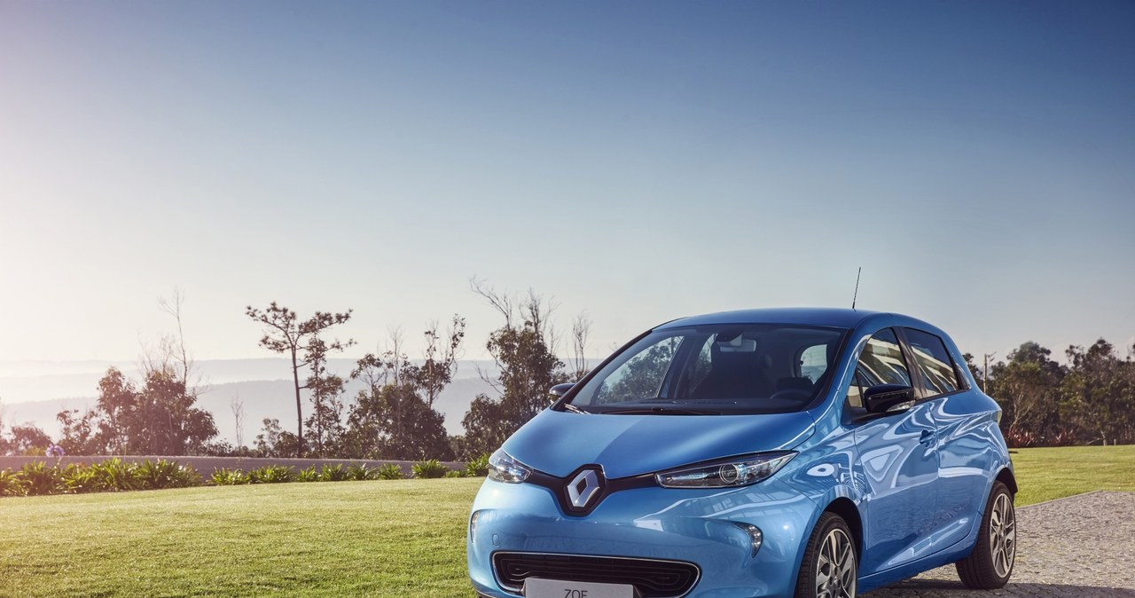 Renault Zoe to lider polskiego rynku /Informacja prasowa