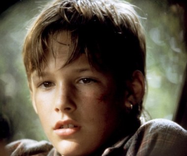 Renfro, który na ekranie zadebiutował w 1994 roku główną rolą w filmie "Klient", uchodził za jednego z najzdolniejszych aktorów swojego pokolenia. Oprócz talentu pochodzący ze stanu Tennessee młodzieniec miał jednak także skłonność do popadania w konflikty z prawem.