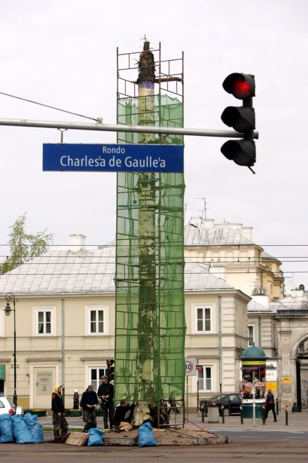 Renowacja palmy na Rondzie Charles'a de Gaulle'a w 2007 r. /Leszek Szymański /PAP