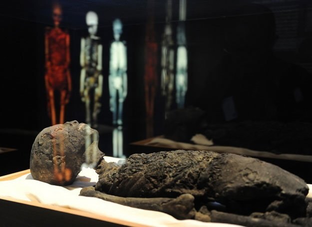 Replika mumii słynnego faraona /AFP