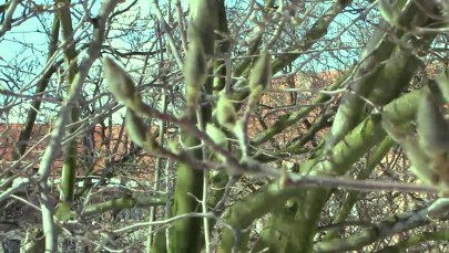 Reporterzy RMF FM znaleźli wiosnę