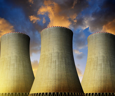 Reuters: Eksperci UE chcą uznania elektrowni atomowych za zielone inwestycje