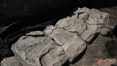 Rewelacyjne odkrycie w centrum Gdańska. Rycerski pochówek z XIII w.