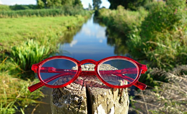 Rewolucja medyczna. Pacjent odzyskał wzrok dzięki genom wodorostów 