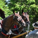 Rewolucja na trasie do Morskiego Oka. Zacznie się wiosną. "Chcą nas oszukać"