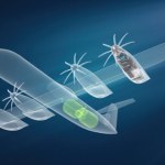ekologia Rewolucja w lotnictwie. Airbus i MTU tworzą silnik na wodór