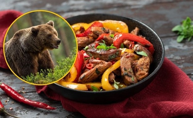 Rewolucja w menu. Mięso niedźwiedzia na sprzedaż