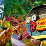 Rewolucja w Ogrodzie z Biedronką Home – Te narzędzia to hit jesieni!