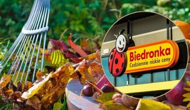 Rewolucja w Ogrodzie z Biedronką Home – Te narzędzia to hit jesieni!